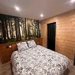 Loft-chalet 12 Pers - Billiards - Cinema - 10 Min 公寓 *