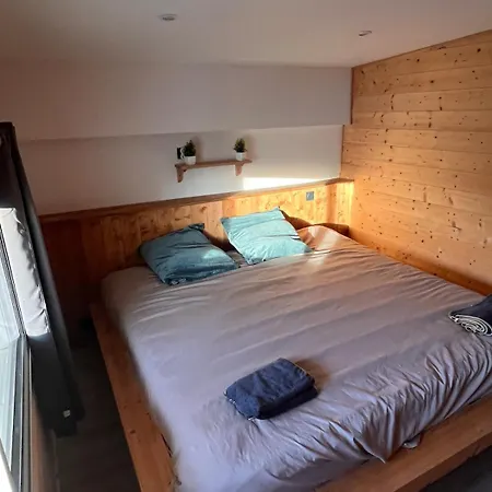 Daire Loft-chalet 12 Pers - Billiards - Cinema - 10 Min