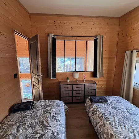 Loft-chalet 12 Pers - Billiards - Cinema - 10 Min Daire