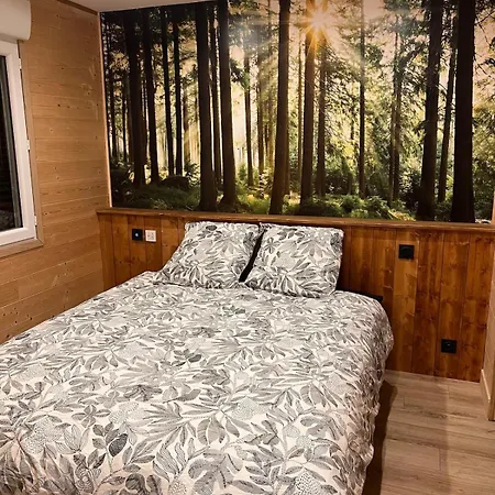 Loft-chalet 12 Pers - Billiards - Cinema - 10 Min * La Cabanasse