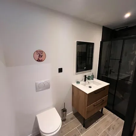 Daire Loft-chalet 12 Pers - Billiards - Cinema - 10 Min